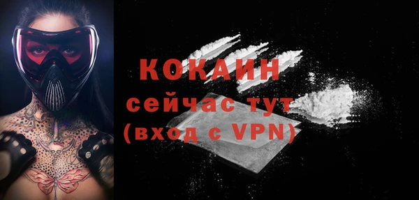 стафф Каменногорск
