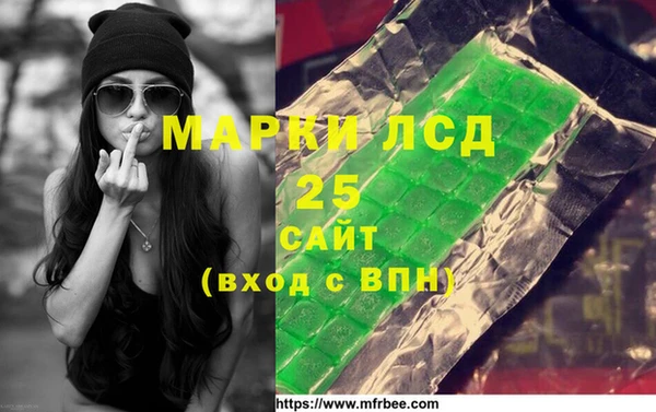 стафф Каменногорск
