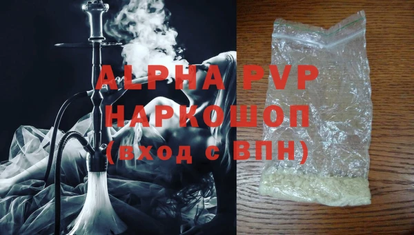 стафф Каменногорск