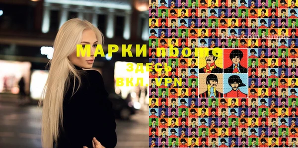 стафф Каменногорск