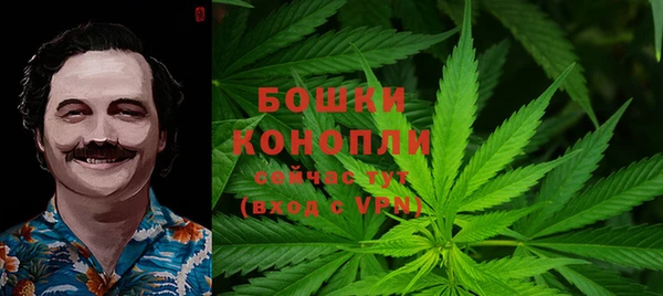 прущий лед Каменка