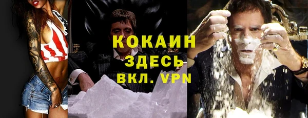 прущий лед Каменка