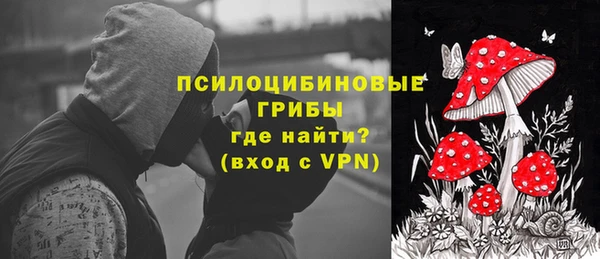 прущий лед Каменка